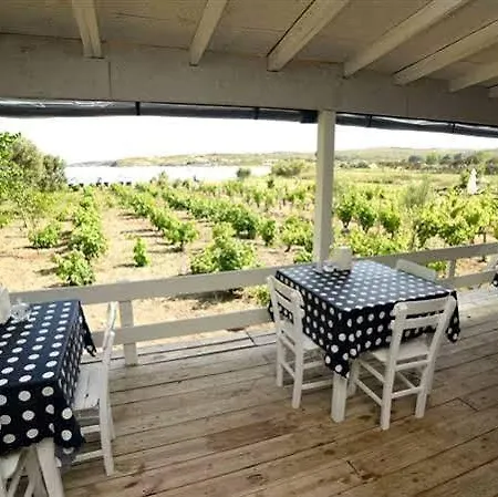 酒店 阿斯佩尔奥特尔酒店 博兹贾阿达岛