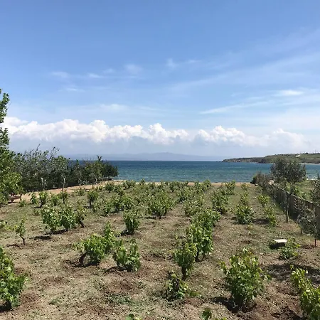 阿斯佩尔奥特尔酒店 酒店