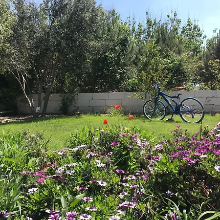 阿斯佩尔奥特尔酒店 酒店 博兹贾阿达岛