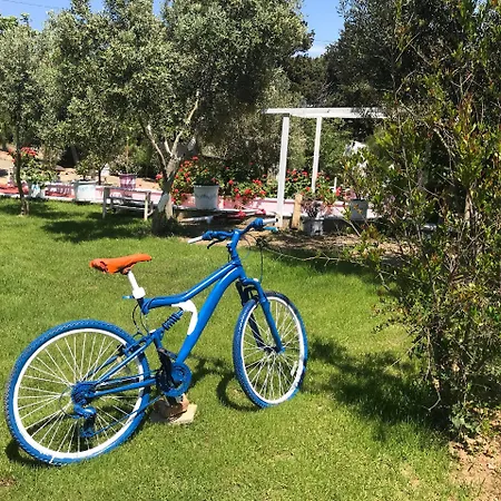 阿斯佩尔奥特尔酒店 博兹贾阿达岛